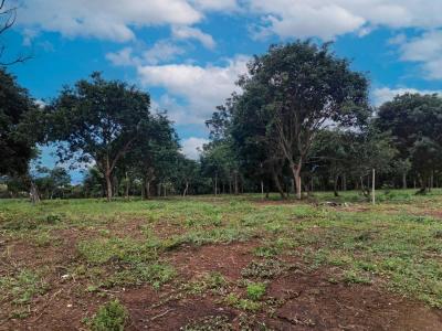 Ángeles San Rafael, Heredia 40501, Costa Rica