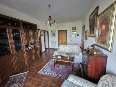 Via degli Olivi, Civitella Paganico, Toscana 58045, İtalya