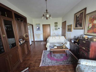 Via degli Olivi, Civitella Paganico, Toscana 58045, İtalya