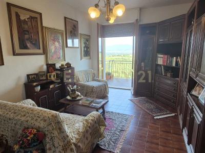 Via degli Olivi, Civitella Paganico, Toscana 58045, İtalya