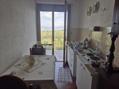 Via degli Olivi, Civitella Paganico, Toscana 58045, İtalya