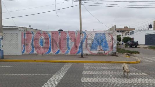 Calle Demetrio Miranda , Pisco, Ica 00001, Peru