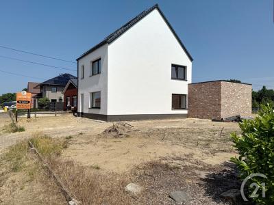 Pandhoevestraat 15, Begijnendijk, 3130, Бельгия