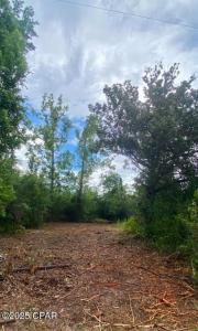 0 Dogwood Street, Fuente, Florida 32438, Estados Unidos