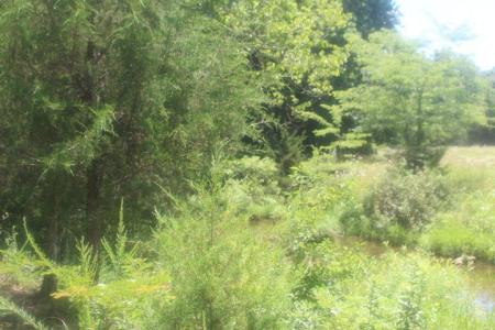 3176 S 170th Road, Polk, Missouri 65727