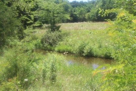 3176 S 170th Road, Polk, Missouri 65727
