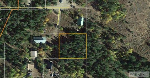 3336 Shooting Star Lane, Island Park, Idaho 83429, États-Unis