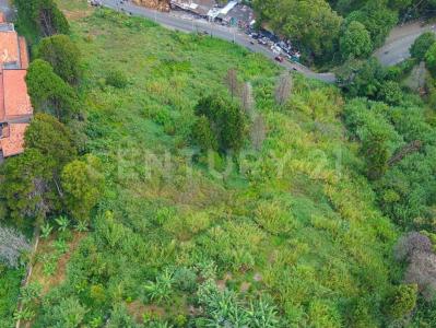 Medellín, Antioquia 050036, Colombia