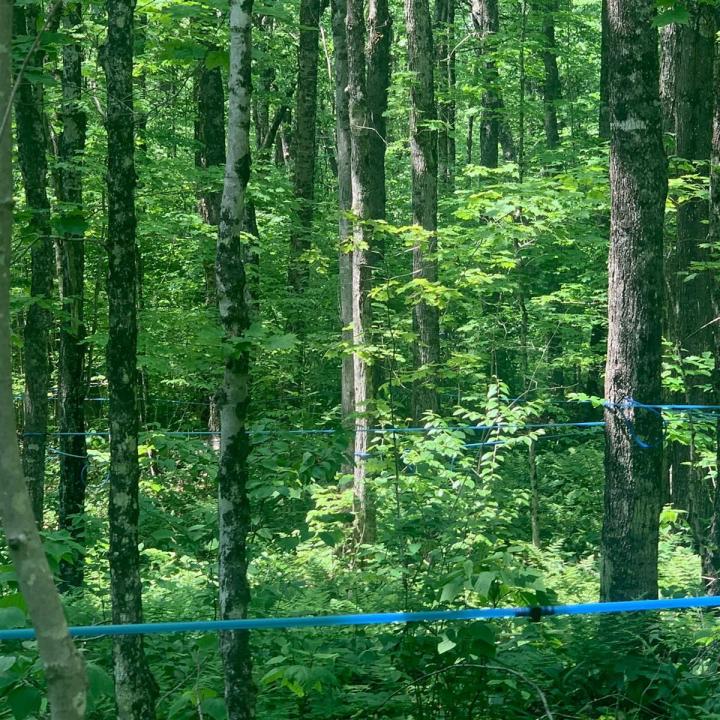 9e Rang, Quebec G0M 1W0, Canada