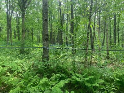 9e Rang, Quebec G0M 1W0, Canada