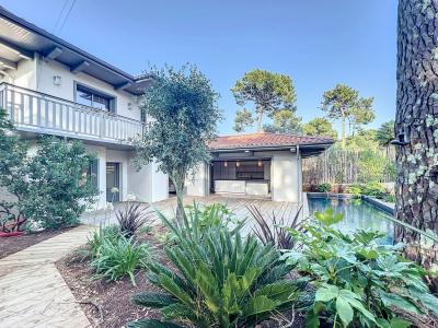 Arcachon, Aquitânia 33120, França