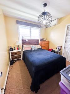 535 Maluniu Ave, Kailua, Hawaii 96734