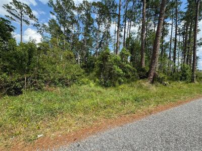 1465 5th Avenue, Deland, Florida 32724, Estados Unidos