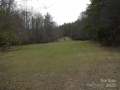 0000 Dandelion Drive, Taylorsville, North Carolina 28681