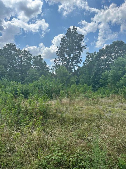373 Forest Trail Dr, Berea, Kentucky 40403