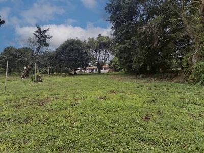 Ángeles San Rafael, 埃雷迪亚 40501, 哥斯达黎加