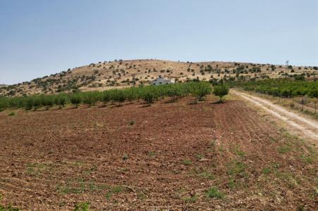 Batman, Turkey