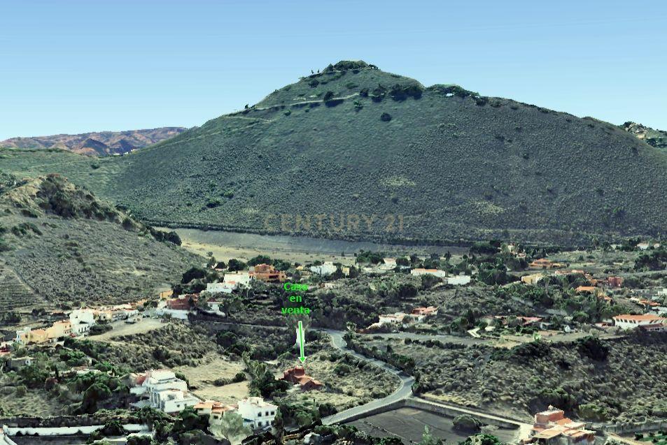 Las Palmas, Canarias 35017, إسبانيا