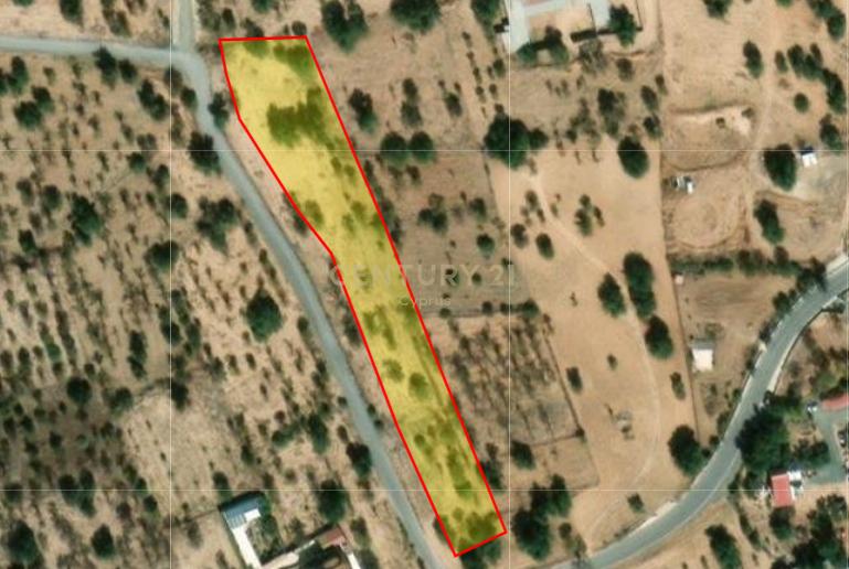 Apesia, 4541, Cyprus