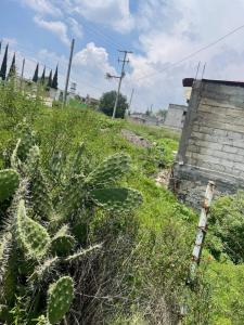 Lomas de San Francisco Tepojaco mz 107 #42,, Cuautitlán Izcalli, Estado De Mexico 54720, Mexico