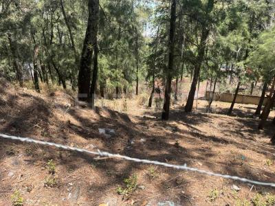 Calle del Bosque lote 76,, Valle De Bravo, Estado De México 51200, Mexico