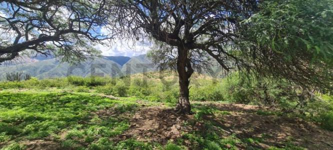 Sucre, Chuquisaca 0000, Bolivia