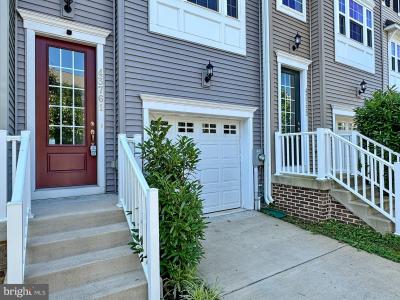 43761 Winterberry Way, קליפורניה, מרילנד 20619, ארצות הברית של אמריקה 