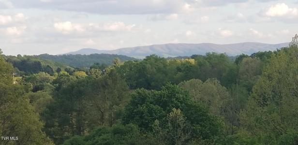 Tbd Horseshoe Bend Rd 6.88 +/-, Jonesborough, Tennessee 37659, USA