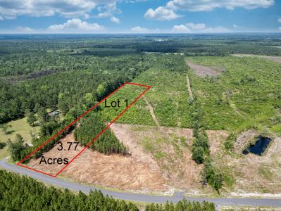 TBD Bellaire Dr. Lot 1, Nichols, South Carolina 29581, Stati Uniti