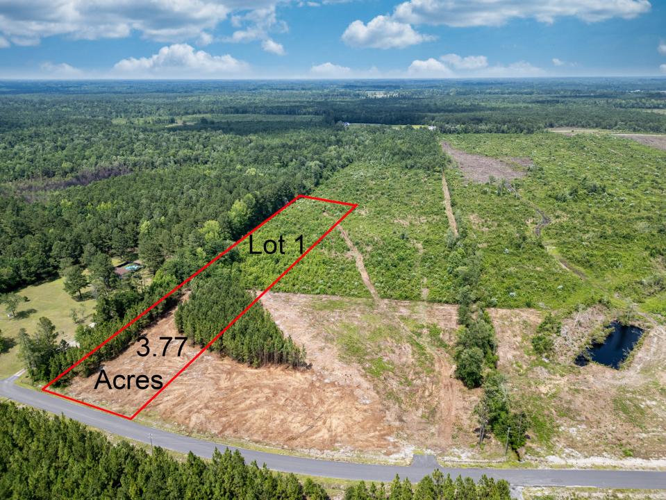 TBD Bellaire Dr. Lot 1, Nichols, Carolina Del Sur 29581, Estados Unidos