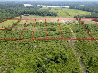 TBD Bellaire Dr. Lot 1, Nichols, Carolina Del Sur 29581, Estados Unidos
