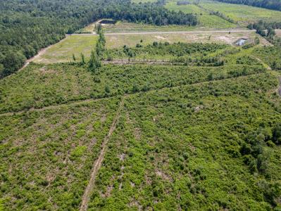 TBD Bellaire Dr. Lot 1, Nichols, Carolina Del Sur 29581, Estados Unidos