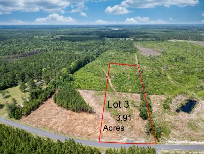 TBD Bellaire Dr. Lot 3, Nichols, South Carolina 29581, Stati Uniti