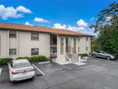 19 A Miracle Avenue, Avon Park, פלורידה 33825, ארצות הברית של אמריקה 
