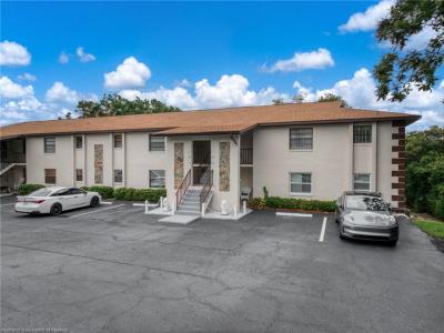 19 A Miracle Avenue, Avon Park, פלורידה 33825, ארצות הברית של אמריקה 