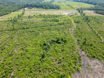 TBD Bellaire Dr. Lot 7, Nichols, Carolina Del Sur 29581, Estados Unidos