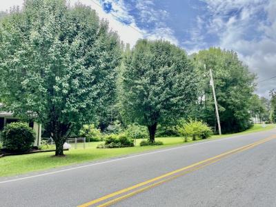 40 Highway 259, Equality, Alabama 36026