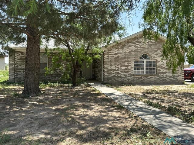 2516 Tulip Street, Carlsbad, 新墨西哥州 88220, 美國