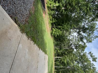 1119 Sagamore Drive, Louisburg, North Carolina 27549