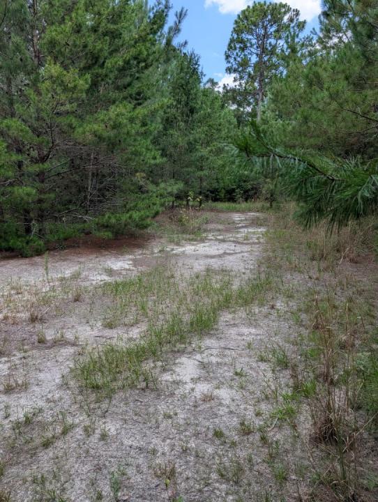 0 Chief Bragg Dr, Freeport, Florida 32439, HOA KỲ