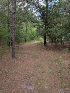0 Chief Bragg Dr, Freeport, Florida 32439, HOA KỲ