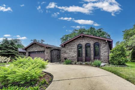 414 N Wolf Rd, Des Plaines, 伊利諾州 60016, 美國