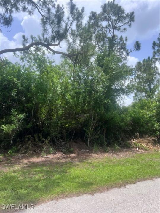 6020 Juliet Avenue, Fort Myers, フロリダ 33905, アメリカ合衆国