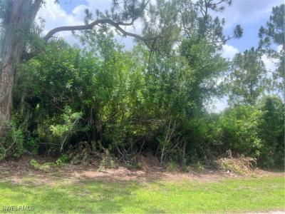 6020 Juliet Avenue, Fort Myers, フロリダ 33905, アメリカ合衆国