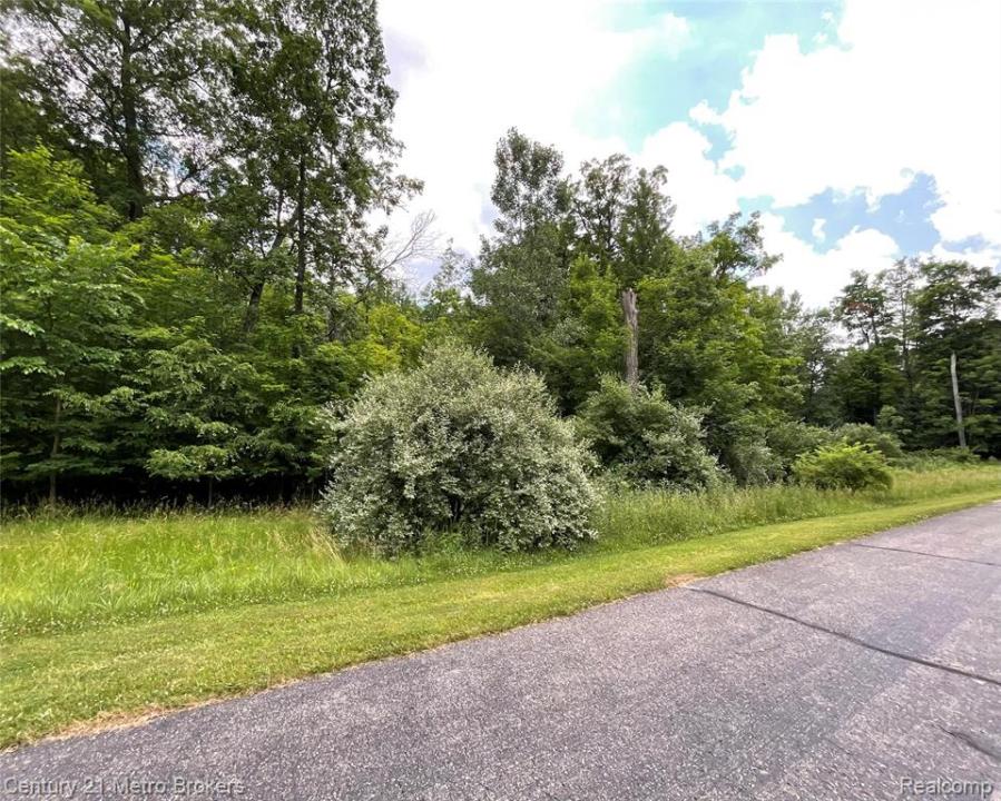Joydyn Drive, Lapeer, Michigan 48446, Estados Unidos