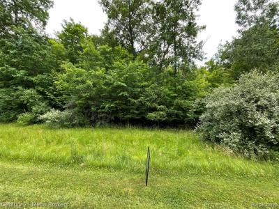 Joydyn Drive, Lapeer, Michigan 48446, Estados Unidos