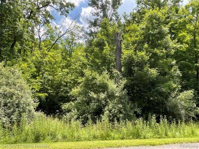 Joydyn Drive, Lapeer, Michigan 48446, Estados Unidos