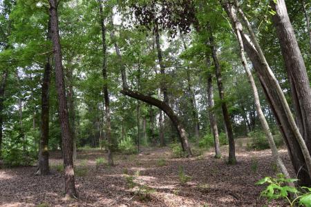 160 Valley View Street, Minden, Louisiana 71055