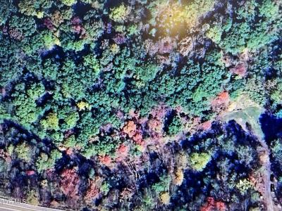 Tbd Clintwood Highway, Pound, Virgínia 24279, Estados Unidos