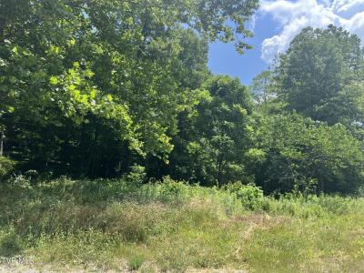 Tbd Clintwood Highway, Pound, Virgínia 24279, Estados Unidos